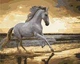 Картина за номерами Brushme кінь, 40x50 см (40*50/А21) - зображення 1