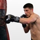 Боксерські перчатки 16 унцій (16 oz) Everlast SC16 чорні (боксерські рукавички, рукавички еверласт, рукавички для груші) SCT-037016 - зображення 2