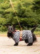 Шлея для собак анатомическая H-образная WAUDOG Nylon Recycled с QR-паспортом, градиент, пластиковый фастекс, оранжевый, размер M - изображение 10