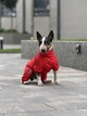 Дождевик для собак WAUDOG Clothes, водонепроницаемый, красный, M45 (19883) - изображение 12