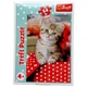 Пазлы "Животные. Котик" 54 эл. 5179881 - изображение 1
