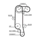 Комплект ГРМ Caddy II/III/Golf IV/Octavia 1.4i 00>05 - GATES (K025565XS) - изображение 2