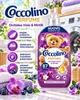 Концентрований кондиціонер-ополіскувач для білизни Coccolino Orchidea Viola & Mirtilli Фіолетова орхідея та чорниця 1,827 л 87 прань (8720181859458). - зображення 2