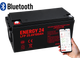 Аккумуляторная батарея Energy24 LiFePO4 25.6V (2560Вт.час) для квартирных инверторов 24В (фабричный) - изображение 1