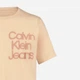 Подростковая футболка для мальчика Calvin Klein 362015037 158 см Оранжевая (1159862255) - изображение 2
