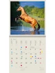 Календарь настенный 2027 HELMA 30 x 30 см Horses (LP03-27) 8596641041738 - изображение 2