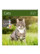 Календарь настенный 2027 HELMA 30 x 30 см Cats (LP01-27) 8596641041714 - изображение 1