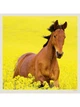 Календарь настенный 2027 HELMA 30 x 30 см Horses (LP03-27) 8596641041738 - изображение 6