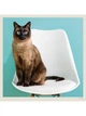 Календарь настенный 2027 HELMA 30 x 30 см Cats (LP01-27) 8596641041714 - изображение 6