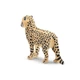 Дитинча гепарда стоїть Toymany ML00295 - зображення 5