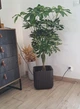 Горщик для квітів Keter Cube Planter S 29,5х29,5х29,7 см пластиковий вуличний коричневий (230226) - изображение 2