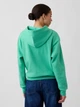 Толстовка на молнии утепленная с капюшоном на флисе женская GAP 292185349 XS Зеленая (1162655517) - изображение 2