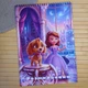 Раскраска Принцесса София Princess Sofia А4 (38600) - изображение 1