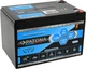 Akumulator PATONA Platinum LiFePO4 12V 12Ah T2/F2 Strong life 10 year (4055655227995) - obraz 1