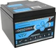 Akumulator PATONA Platinum LiFePO4 12V 30Ah T16 Strong life 10 year (4055655228008) - obraz 1