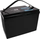 Akumulator PATONA Platinum LiFePO4 12V 100Ah T16 Strong life 10 year (4055655228022) - obraz 2