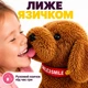 Інтерактивна собачка на повідку з повторенням голосу, ходить, співає, лиже язичком, коричнева, 23 см - зображення 5