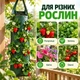 Подвесной многоразовый мешок для вертикального выращивания клубники, цветов и зелени, 8 посадочных отверстий, 60×25 см, зеленый - изображение 4