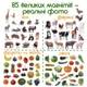Розвивальний набір магнітів Magdum «Дитячий світ» 85 шт у металевій коробці, навчальні магніти на холодильник - зображення 4