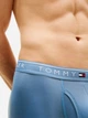 Набір трусів боксерів чоловічих Tommy Hilfiger 09T4409-U9N(Fossil) XL 3 шт Блакитний/Білий/Чорний (198296936865) - зображення 7