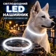 Светодиодный LED ошейник для собак с зарядкой USB 35 см Белый - изображение 1