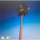 Виниловая пластинка Miley Cyrus - Endless Summer Vacation, Rock, Pop - изображение 4