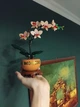 Конструктор Мини орхидея 274 детали Botanicals конструктор цветы Mini Orchid (10343) - изображение 7