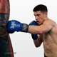 Боксерские перчатки спортивные Everlast 8 унций (8 oz) синие - изображение 2