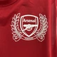 Ретро футбольна футболка Арсенал домашня червоно-біла сезон 2011-2012 розмір S вінтажна джерсі Arsenal - изображение 10