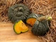 Гарбуз Маріна ді Кьожжа (мускатний) Hortus 10 г - зображення 5