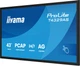 Monitor interaktywny iiyama ProLite T4329AS-B1AG 43″ 4K UHD, dotykowy, Android 14 - obraz 6
