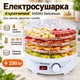 Электросушилка для овощей и фруктов Esperanza EKD003 Delicatesse - изображение 1