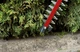 Кусторез аккумуляторный Einhell GC-CH 1855/1 Li-Kit (1x2,5 Ah) - изображение 8