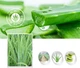 Images Aloe Vera успокаивающая тканевая маска с алоэ вера, 30 г, (Z3-01227) - изображение 4
