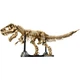 Конструктор LEGO Jurassic World Окаменелости динозавров: Тираннозавр рекс (76968) [180157] - изображение 2