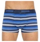 Труси-боксери Puma Worldhood Stripe Trunk 2-pack S gray/blue 501004001-010 - зображення 2