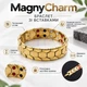 Титановый браслет со вставками MagnyCharm, золотистый, 20 см - изображение 1