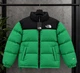 Зимняя куртка пуховик The North Face 700 Green зеленый L 4471 - изображение 1