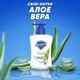 Рідке мило Safeguard з Алое 225 мл - изображение 2