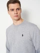 Світшот чоловічий Polo Ralph Lauren 11819 M Сірий (smt2000000050508) - зображення 4