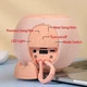 Портативная беспроводная Bluetooth-колонка T&G TG337 5 Вт с RGB-подсветкой, FM-радио, TWS, защитой IPX7 и спикерфоном, Pink (1200 mAh) - изображение 5