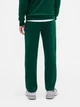 Спортивные штаны утепленные мужские GAP 876194523 L Зеленые (1162979248) - изображение 2