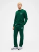 Спортивные штаны утепленные мужские GAP 876194523 L Зеленые (1162979248) - изображение 3