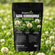 Насіння білої конюшини Рівендел GrassNature, 100 г – для газону, сидерату і медоносу - зображення 1
