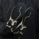 Кросівки Salomon XT-6 Lab Grey White 41 - зображення 8