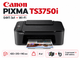 Принтер цветной печати 3 в 1 Canon Pixma TS3750i WiFi МФУ беспроводной печати - изображение 3