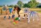 Klocki Playmobil I love horses Trzy konie do kolekcjonowania 29 elementów 72133 (4008789721334) - obraz 4
