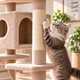 Ігровий комплекс для котів APOLLO-3 з дряпалкою Багаторівневий будиночок для котів 50×40×125 см - зображення 7