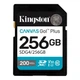 Карта памяти SDXC, 256Gb, Canvas Go! Plus Kingston (2000003655403) - изображение 1