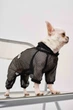 Костюм Dogsbomba сітчастий чорний D-251 розмір 8 (2000000103846) - изображение 1